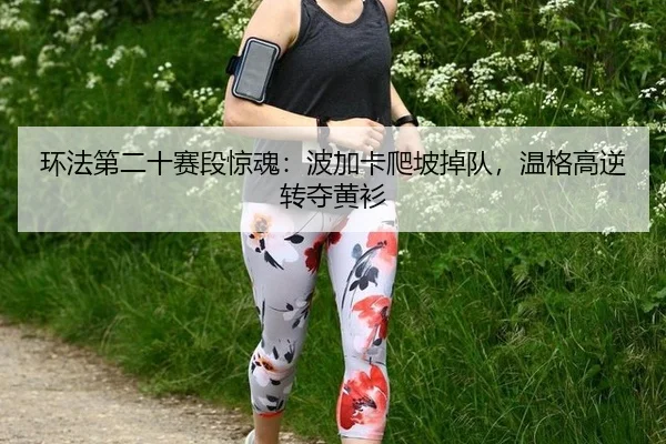 huan-fa-di-er-shi-sai-duan-jing-hun-bo-jia-ka-pa-po-diao-dui-wen-ge-gao-ni-zhuan-duo-huang-shan-2-401.jpg