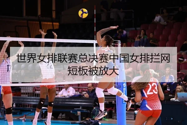shi-jie-nv-pai-lian-sai-zong-jue-sai-zhong-guo-nv-pai-lan-wang-duan-ban-bei-fang-da-2-877.jpg