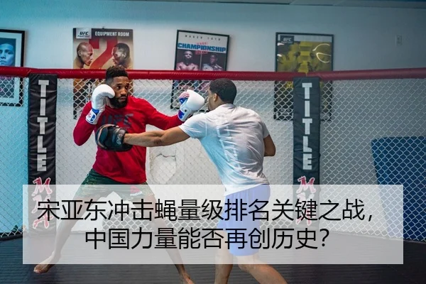 song-ya-dong-chong-ji-ying-liang-ji-pai-ming-guan-jian-zhi-zhan-zhong-guo-li-liang-neng-fou-zai-chuang-li-shi-3-646.jpg