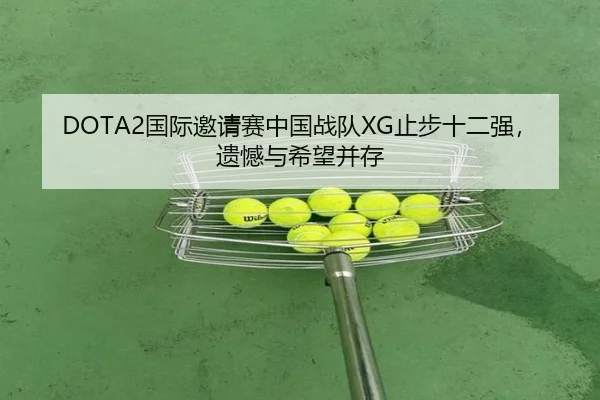 DOTA2国际邀请赛中国战队XG止步十二强，遗憾与希望并存